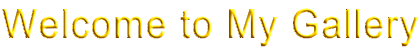 Welcome to My Gallery