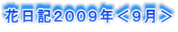 花日記２００９年＜９月＞ 