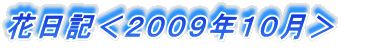 ԓLQOOXNPO@ 